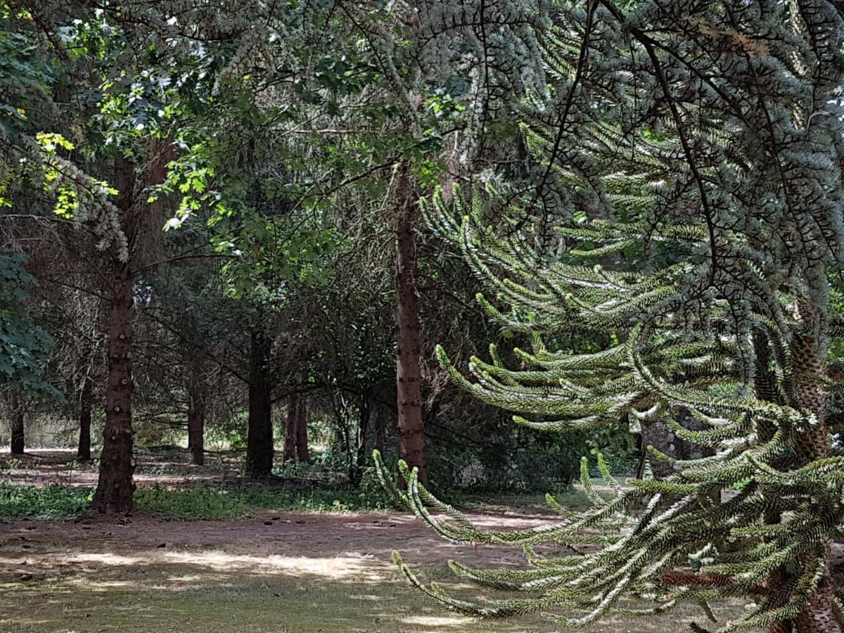 Le Clos Des Ecureuils Vouzon Exterior photo