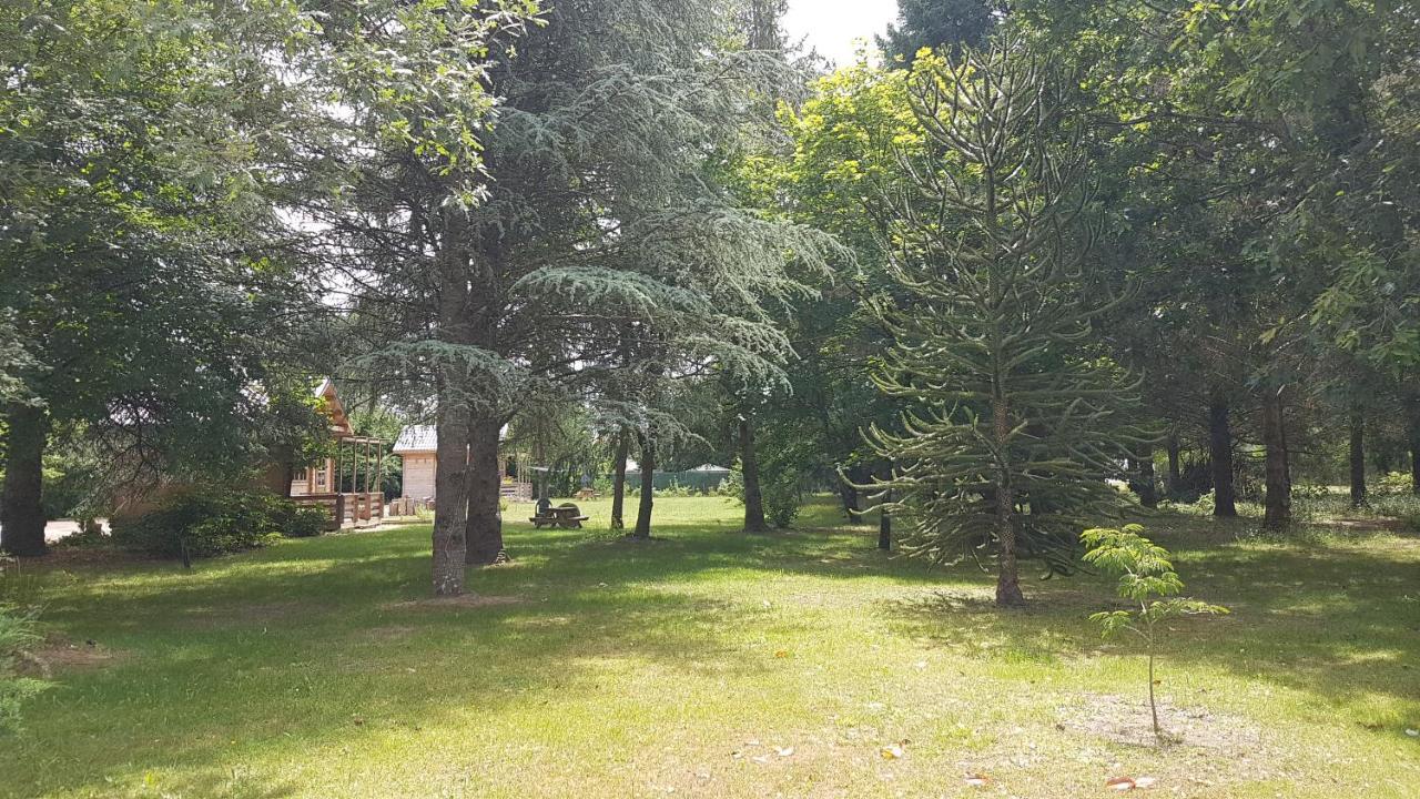 Le Clos Des Ecureuils Vouzon Exterior photo